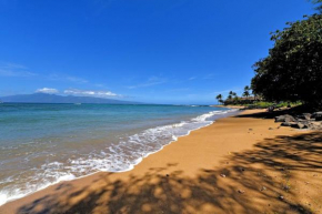 Amazing Sunsets Oceanfront Views - indigomaui -